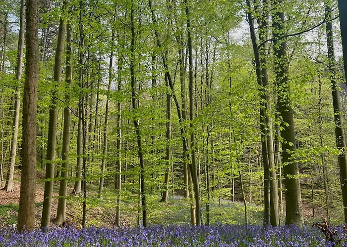 ベッド・アンド・ブレックファスト Bois De Hal 3*