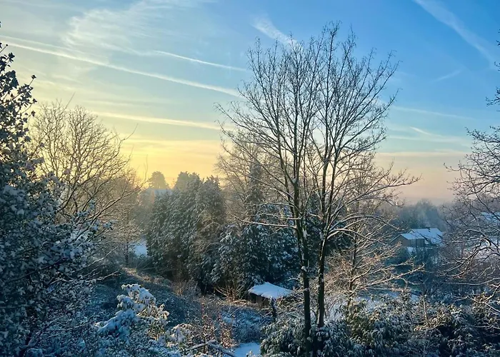 Bois De Hal 3* ブレン・ラルー